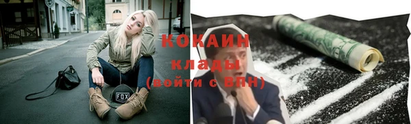индика Аркадак