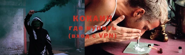 индика Аркадак
