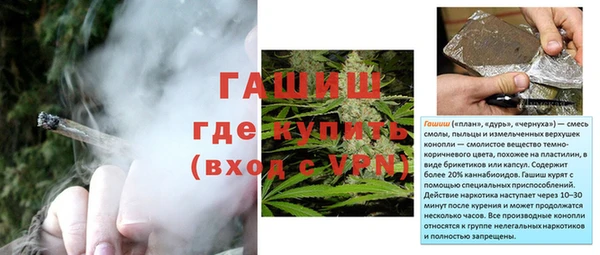 индика Аркадак