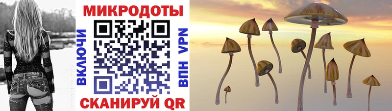 Купить  Усть-Илимск  Псилоцибиновые грибы Cubensis 